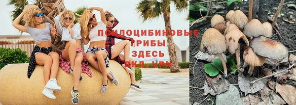меф Няндома