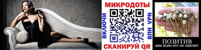 Псилоцибиновые грибы прущие грибы  Купить  Комсомольск 